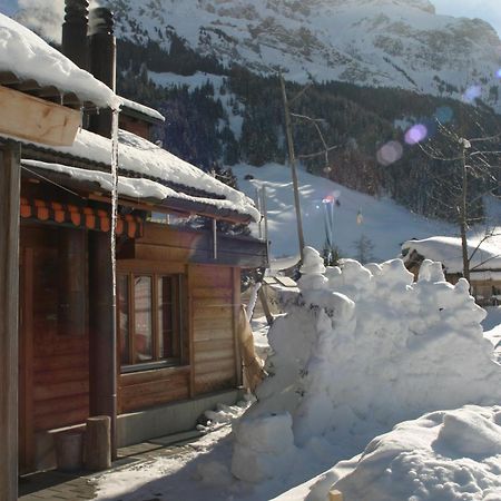 Bergdohle Daire Adelboden Dış mekan fotoğraf