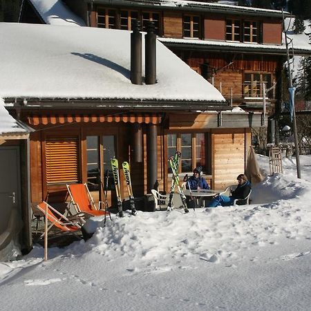 Bergdohle Daire Adelboden Dış mekan fotoğraf