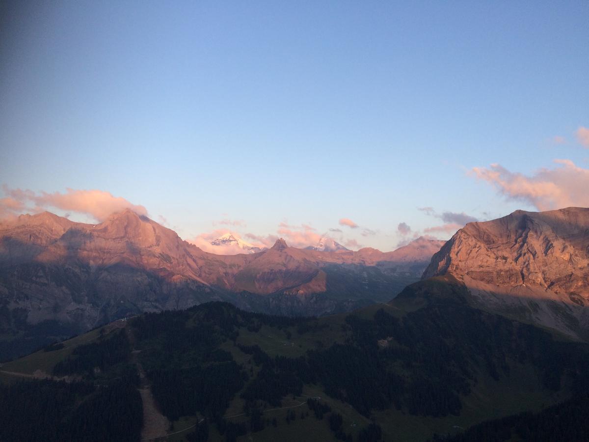 Bergdohle Daire Adelboden Dış mekan fotoğraf