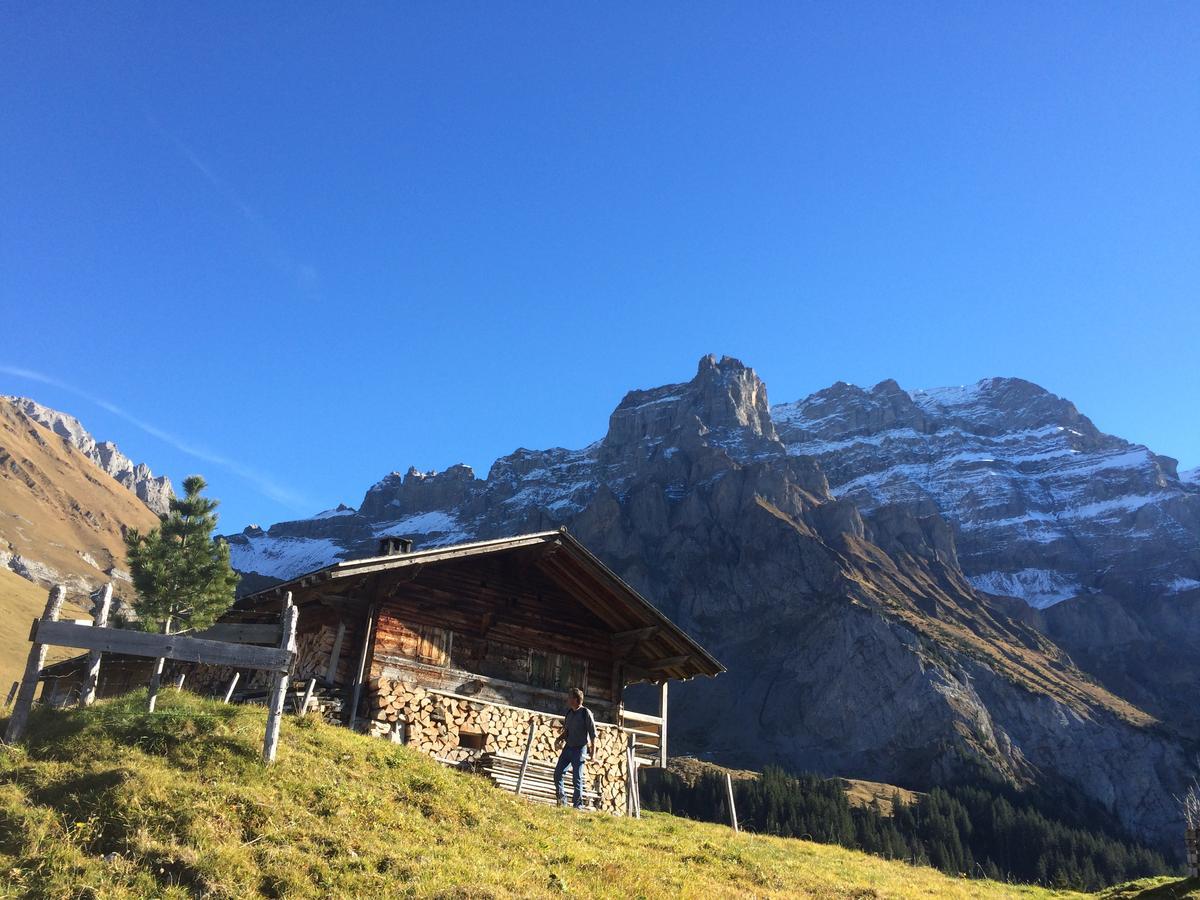 Bergdohle Daire Adelboden Dış mekan fotoğraf