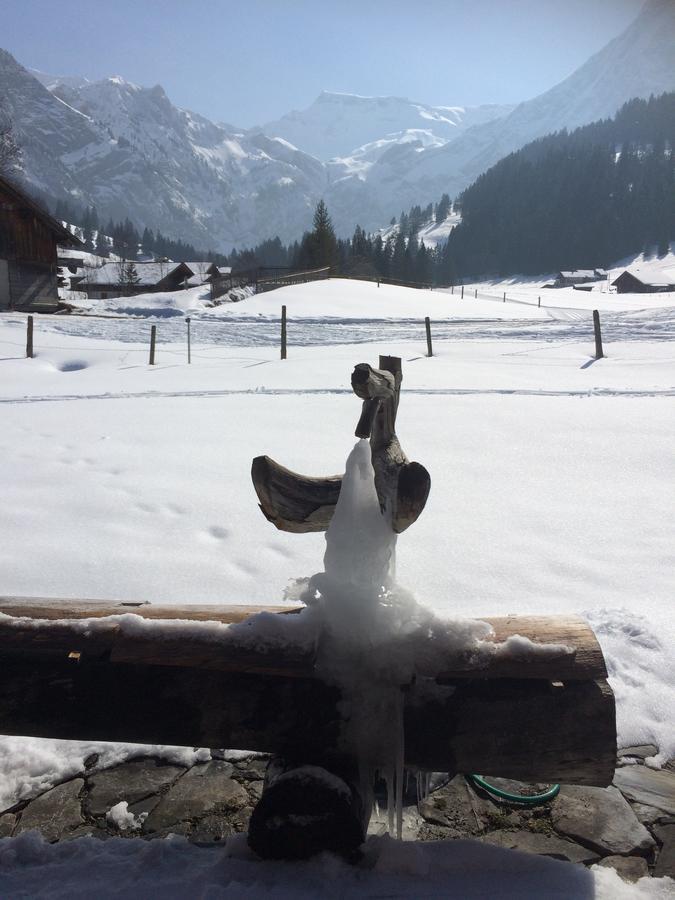 Bergdohle Daire Adelboden Dış mekan fotoğraf