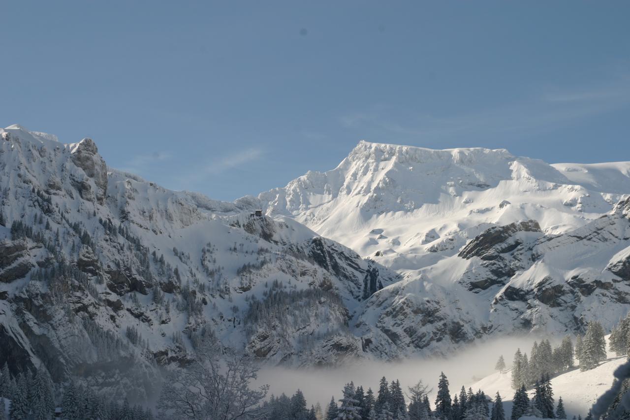 Bergdohle Daire Adelboden Dış mekan fotoğraf