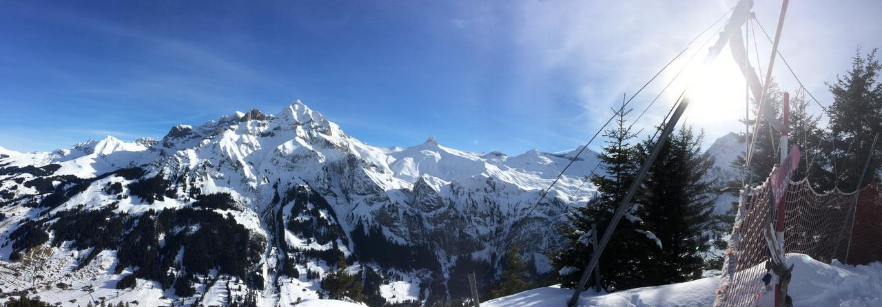 Bergdohle Daire Adelboden Dış mekan fotoğraf