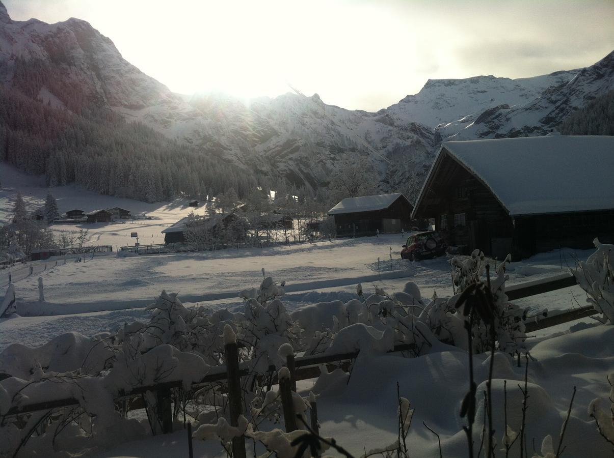 Bergdohle Daire Adelboden Dış mekan fotoğraf