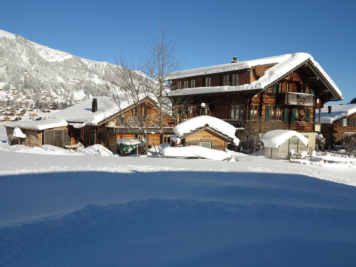 Bergdohle Daire Adelboden Dış mekan fotoğraf