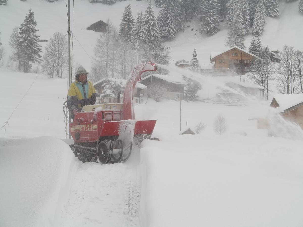 Bergdohle Daire Adelboden Dış mekan fotoğraf